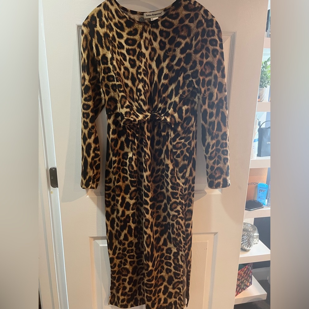 Nordstrom Leopard Print Dress